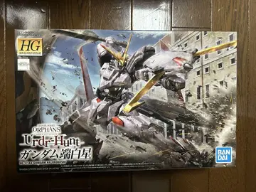 HG 건담 단백 별
