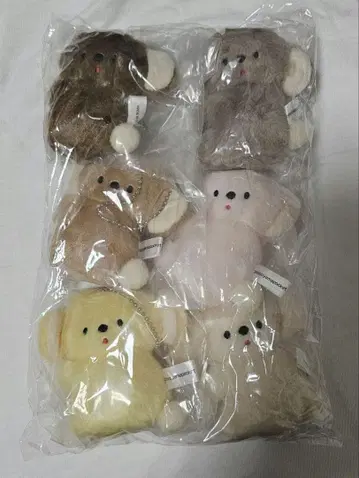 니코야마 포케 가챠가챠 컴플리트