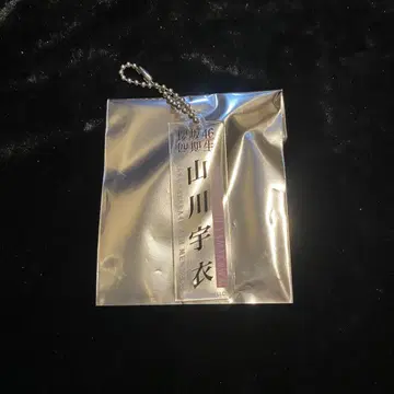 사쿠라자카46 야마카와 우이 네임 키링 복권
