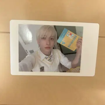 팬더 드래곤 파라곤 하피카 요타