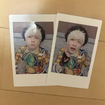 팬더 드래곤 파라곤 하피카 요타