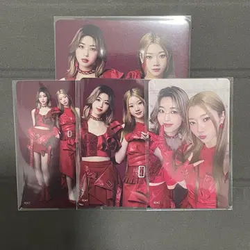 ISSUE 사카구치 리노 다나카 유키 트레이딩 카드 팬 네이비