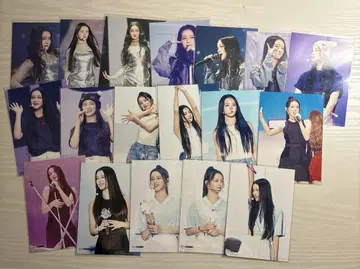 사쿠라이 미우 스테이지 사진 전종
