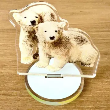 야기야마 북극곰 쌍둥이 아크릴 스탠드