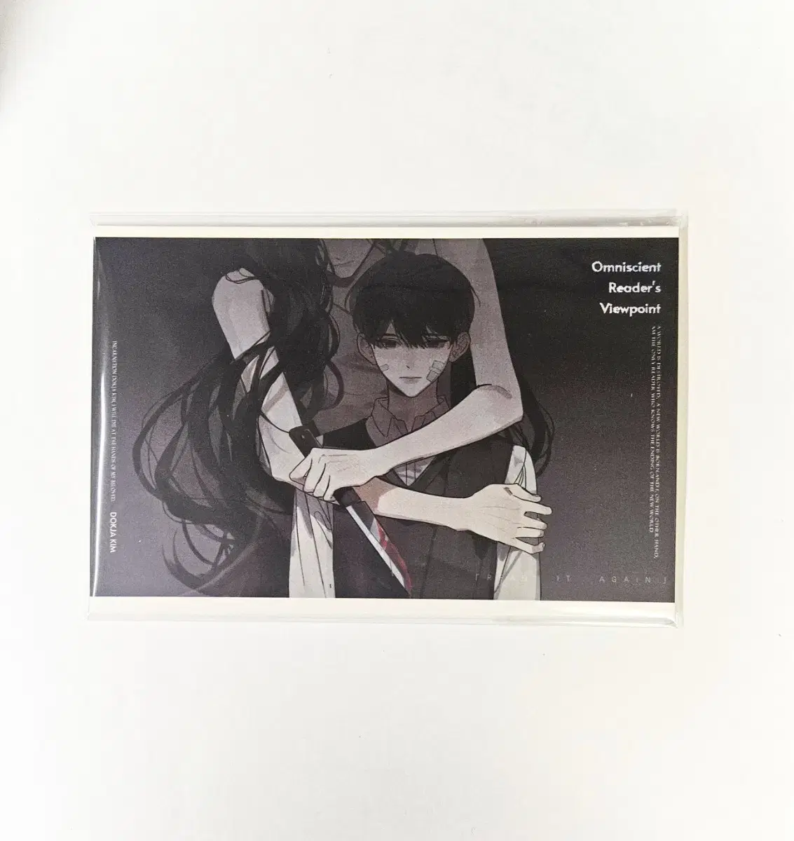 Omniscient Reader's Viewpoint Chinese Simplified Edition Volume 3 Kim Dokja Illustration Board