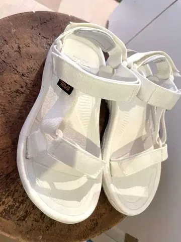 테바 허리케인 XLT2 22cm