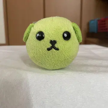 콩시바 봉제 인형