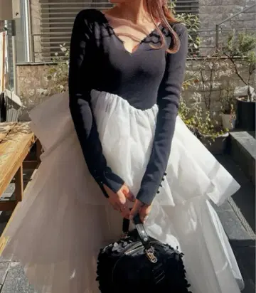 비비 DELPHINE 튤 드레스