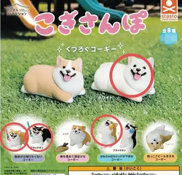 코기 산책 4종 세트 코기 가챠가챠
