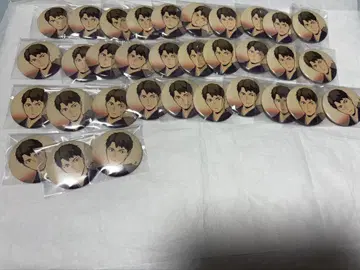 하이큐!! 배구 사계절 ~봄의 전투~ 캔뱃지 33종 우시지마 와카토시