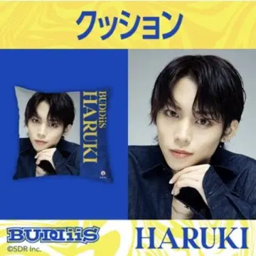 BUDDiiS HARUKI 쿠션