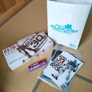 건담 프라모델 30주년 RG1/1 건담 프로젝트 오픈 기념 30th 세트