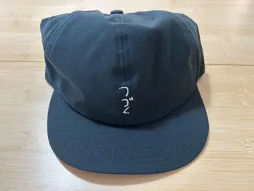 바리커스 TIMS 캡 계속