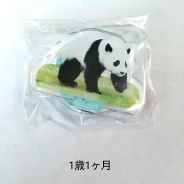 카에데하마 아크릴 스탠드 가챠 어드벤처 월드 b