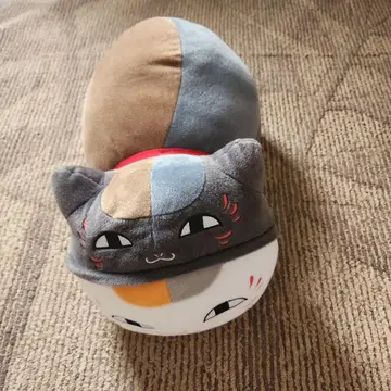 메차데카냥코 선생님