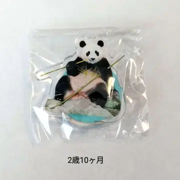 카에데하마 아크릴 스탠드 가챠 어드벤처 월드 f