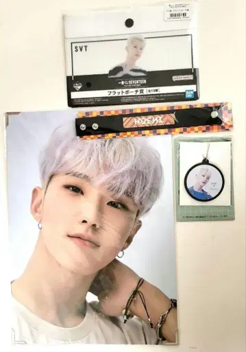 세븐틴 세부치 호시 4종 세트