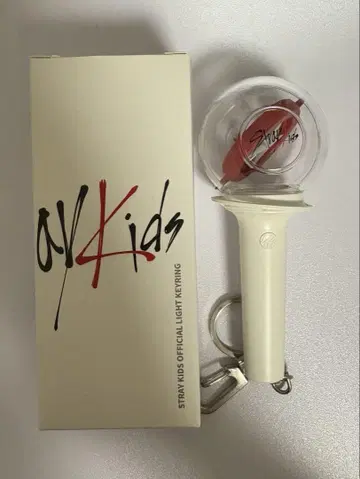 straykids 미니 응원봉