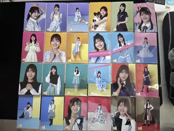사카미치 시리즈 포트레이트 24장 세트