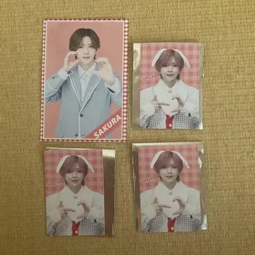 사쿠라 라부시쿠