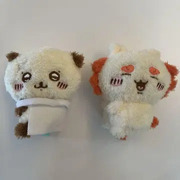 치이카와 (먼작귀) 피타레스토 후와모코 컬렉션 랏코, 시사