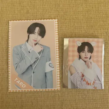 타로 러브시크