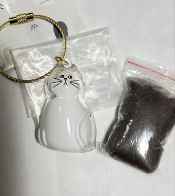 우리 아이의 털뭉치