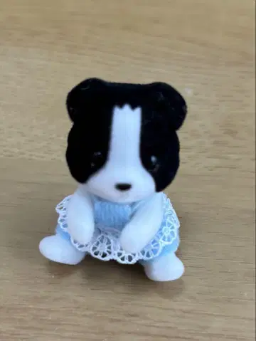 실바니안 패밀리 보더 콜리의 아기