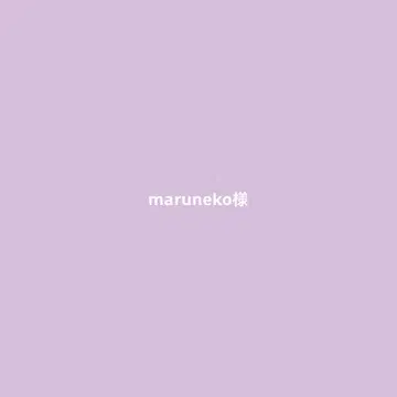 maruneko 님 BS 사라 풀오버 실버