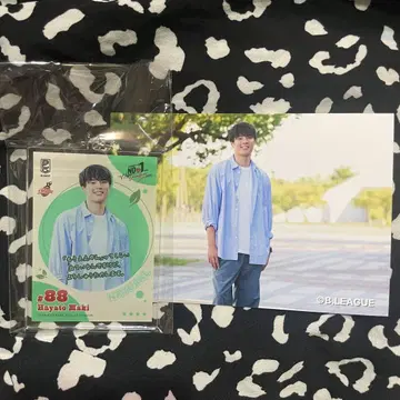 마키 하야토 복권 오사카 에베사