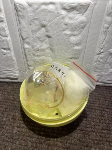 우리 집의 고양이 삼색 고양이 가챠