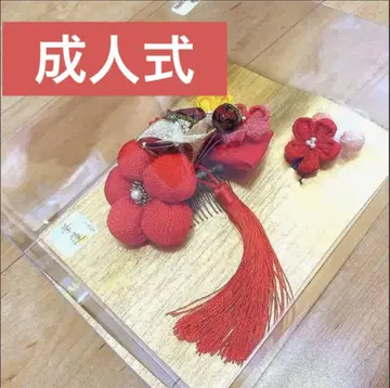 머리 장식 성인식 일본 의류 미인
