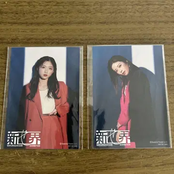 사쿠라자카46 신세계 쿠키 스티커 2장