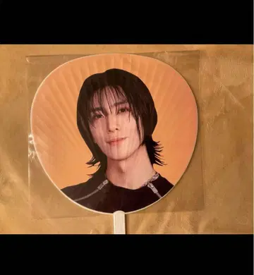 SF9 피용 공식 부채