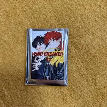 WIND BREAKER 전 윈브레 전 랜덤 캔 마그넷 타키이시 도