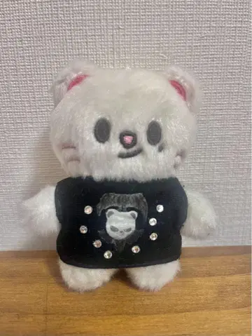 지니레토 SKZOO 10cm 사이즈 dminAte 어둠 T 바람
