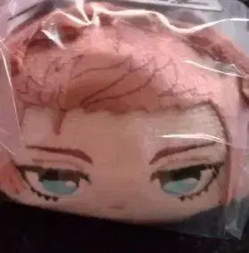 블루 록 이토시 사에 포테코로 마스코트 5 봉제 인형 미개봉 익명 배송