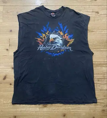 Harley Davidson 이글 그래픽