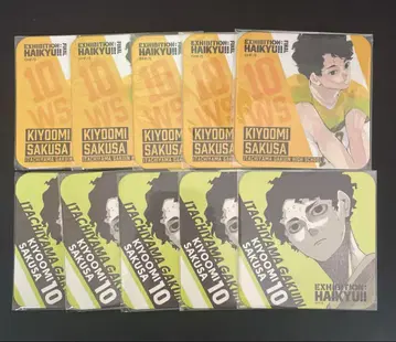 하이큐!! 아트 코스터 사쿠하 세이오미