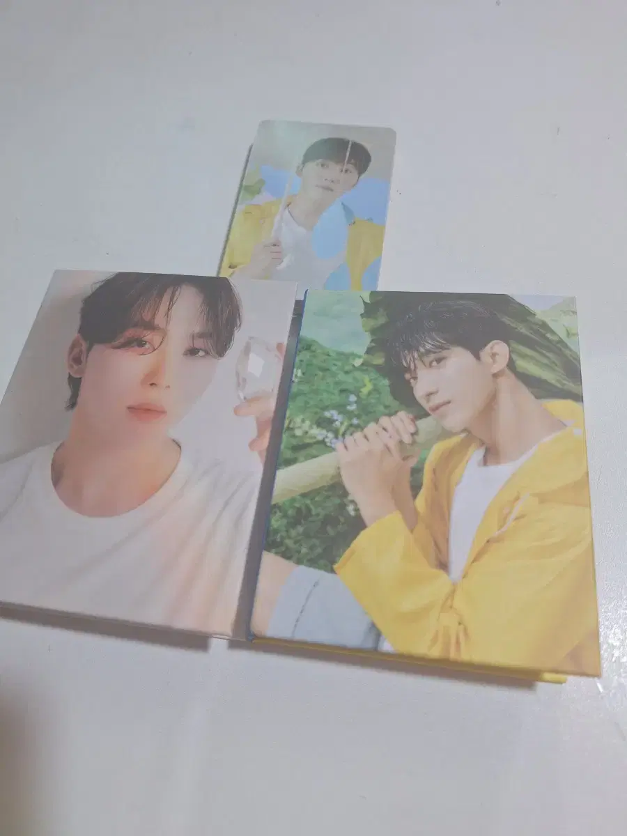 세븐틴 포카