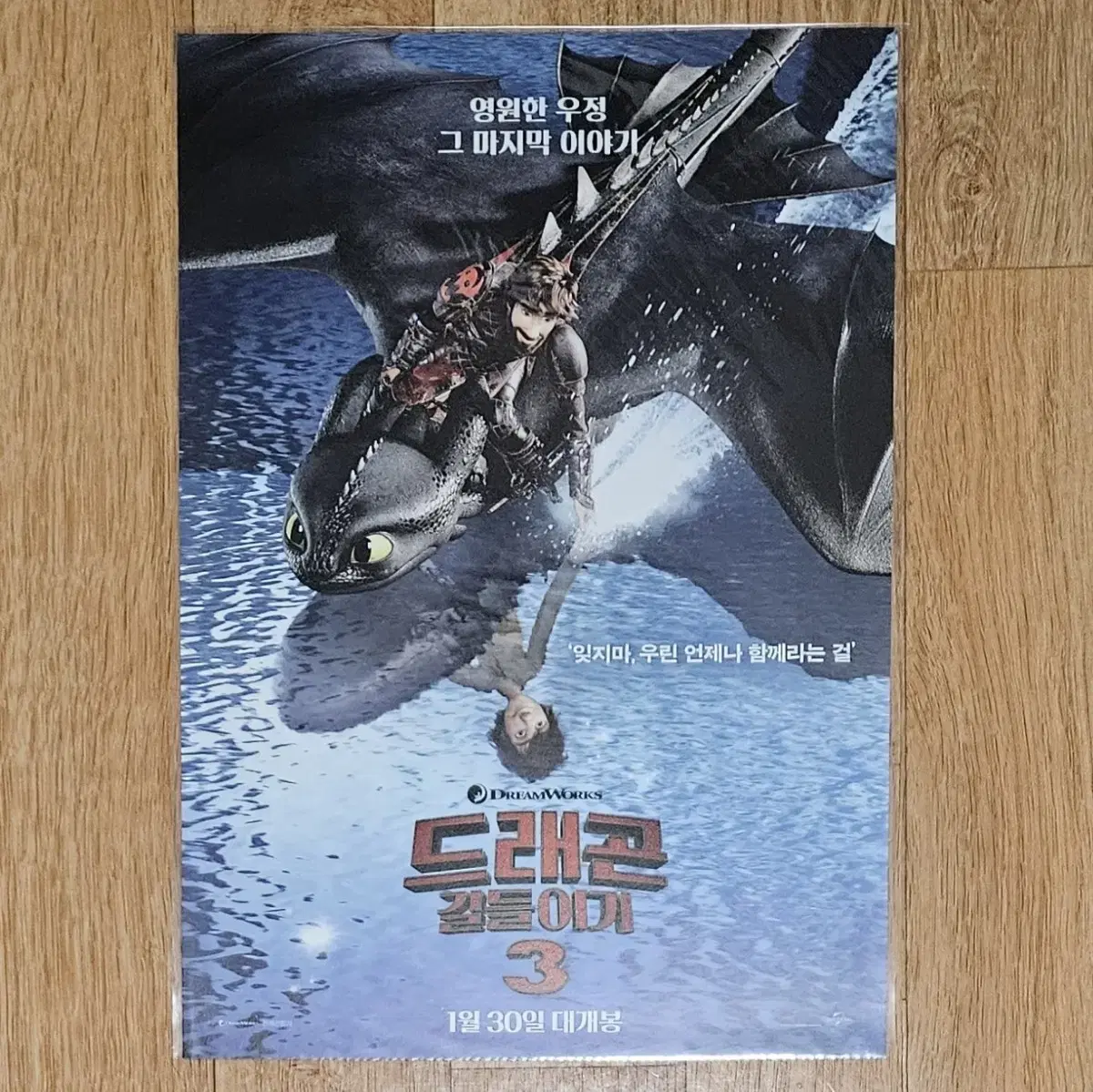 드래곤 길들이기 3 애니메이션 A3 포스터 메가박스 CGV 투슬리스 롯시