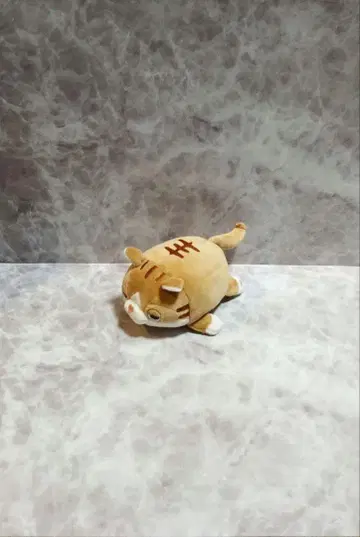 봉제 인형