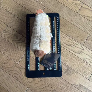 고질라 봉제 인형 모스라 모스라 애벌레