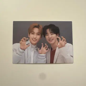 도겸 호시 페어 트레이딩 카드 HARE