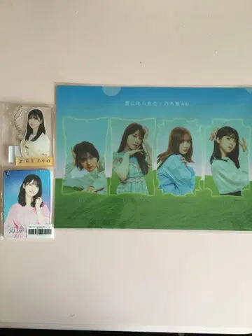 노기자카46 4기생 츠츠이 아야메 버스 케이스와 키링과 클리어 파일