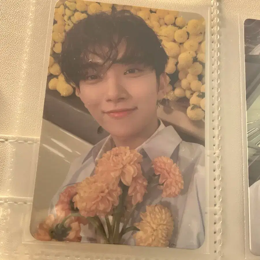 SEVENTEEN Your Choice ジョシュア トレカ 特典 セット SEVENTEEN Your Choice ジョシュア トレカ 特典 セット SEVENTEEN 8th