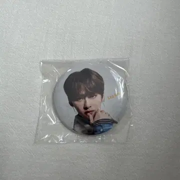 Lee Know 캔뱃지 리노 스키즈 stray kids