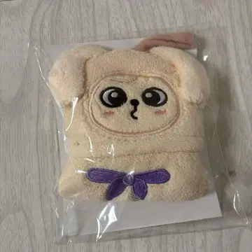 straykids 승민 퍼핌 FC 복권 D상 에코파 시즈오카