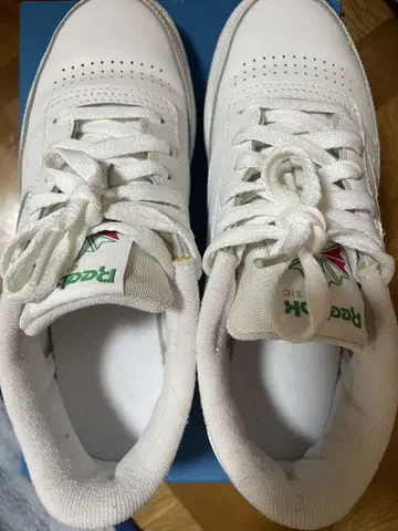 클럽 씨 CLUB C 85
