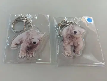북극곰 쌍둥이 아크릴 키링 2개 세트 야기야마 동물공원 역